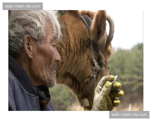 纪录片《胜利之重：2022阿根廷世界杯征程》全球上线